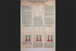 Открытие выставки проф. Л.И. Титомира